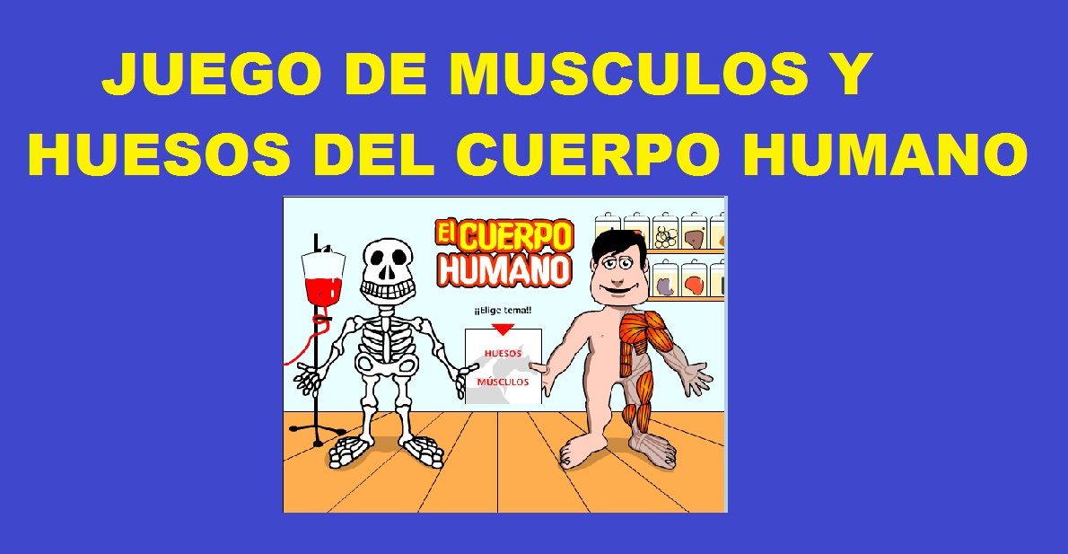 Resultado de imagen de juego musculos y huesos